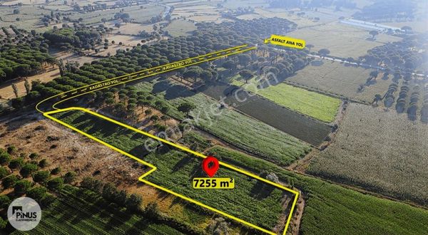 Pinus Gayrimenkul'den Kozak Yaylası'nda 7.255 M² Muhteşem Arazi