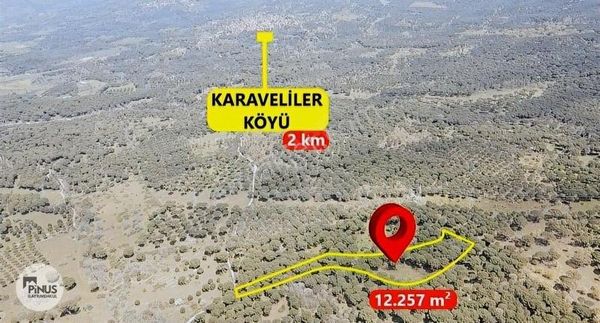 Pinus Gayrimenkul'den//kozak Karaveliler'de 12.257 M² Fıstıklık