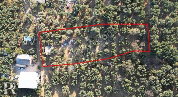 P&r Gayrimenkul'den Atatürk Mah Satılık Müstakil Ev Ve Zeytinlik