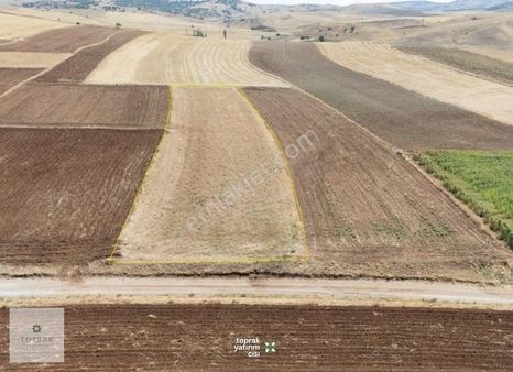 Kozlucada 3.786 M² Yola Cepheli, Verimli Ve Yatırımlık Tarla