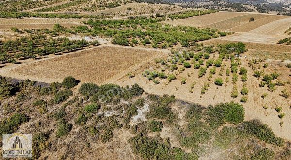 Deresakarıda Muhteşem Konum Meyve Bahçesi