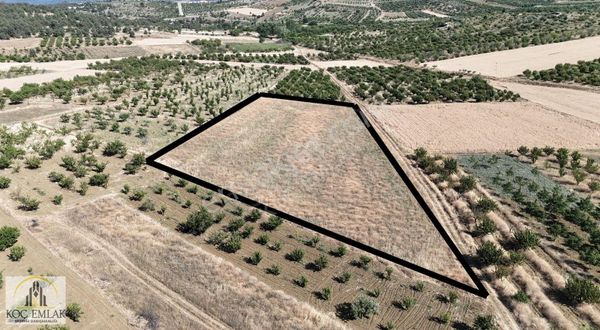 Merkez Deresakarı'da 130 Metre Kadastro Yoluna Cephe Tarla