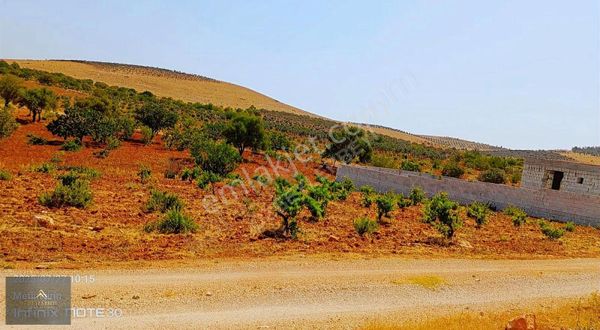 Suboğaz Sınırında Satlık Uygun Küçük Parça