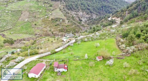 Geyve Melekşesolak Yol Elektirk Su Mevcut Asfalt 50 Metre