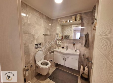 Falcon Dan Akarca Da Fırsat 2+1