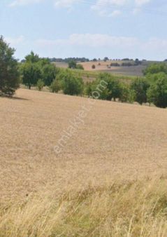 Dört Buçuk Dönüm Fırsat Tarla