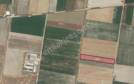 Yuvam Emlaktan Acıpayamda Satılık Fırsat Tarla