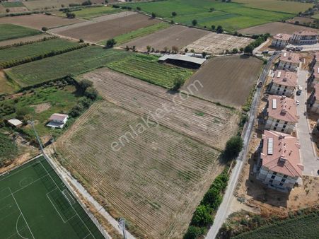 Aydın Efeler Kardeşköy De Satılık Tek Tapu Yola Cephe 7.360 M2 Tarla