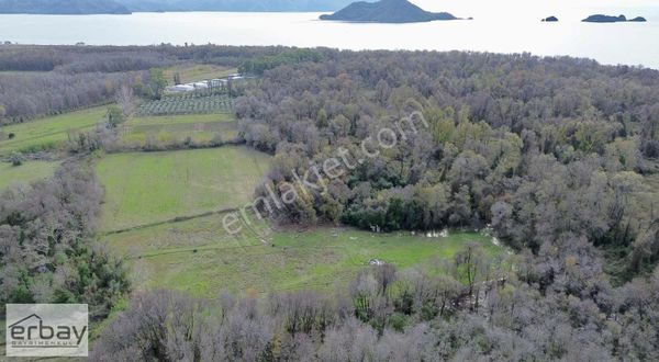 Yanıklarda Yatırımlık Tarla