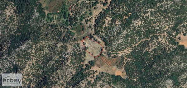 Erbay' Dan Nif Gedrede Satılık Tarla