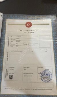 Tekirdağ Saray Kurtdere Mevki