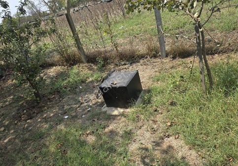 Tekirdağ Marmaraereğlisi Yeniçiftlik'de Eşyalı Satılık Müstakil Ev