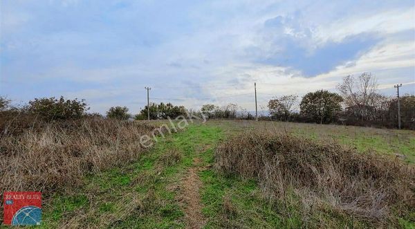 Pehlivanköy Merkez Ruhsatı Alınmış Satılık Arsa