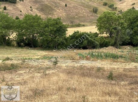 Körfez Naip 5837 Mk