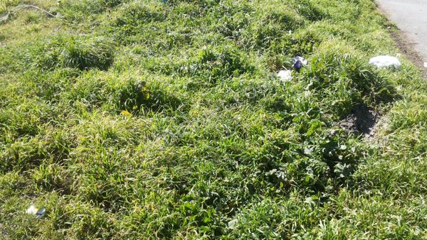 B.çekmece Celaliyede 500m Satılık Villa İmarlı Düşeş Arsa No:347