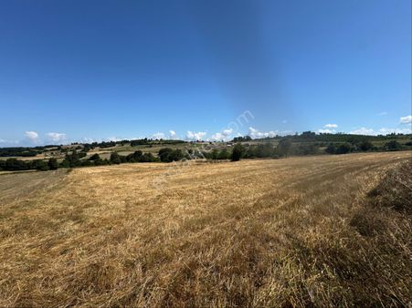 Atakum Meyvalıda 3031 M2 Satılık Hisseli Tarla