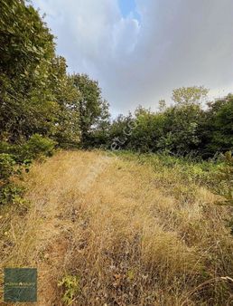 Erdoğanköyde Muhteşem Manzaralı Hobi Bahçesi