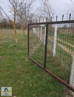 Fırsat Poyralı'da 3 Dönüm Telle Çevrili Yola Cephe Satılık Tarla