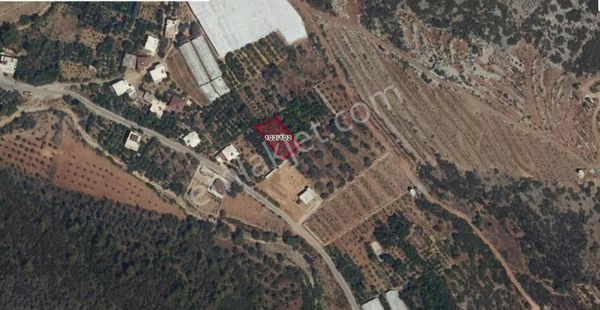 Alanya Özvadi Satılık Tarla