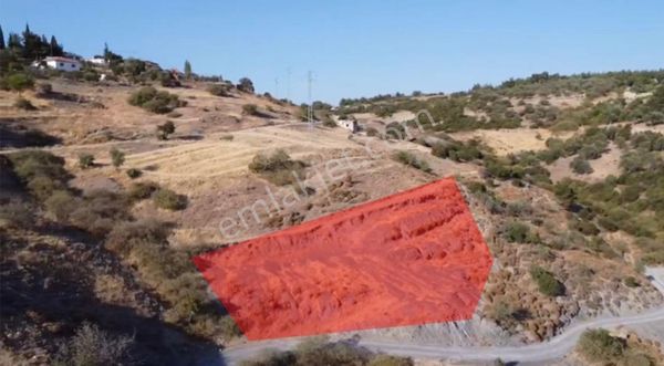 Acil Satılık 690m2 Tek Parsel Tarla