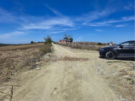 Sakarya Kaynarcada Köşebaşı Satılık Tarla