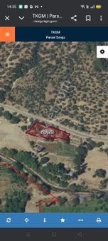 Akçay Köşemden Burhaniyede Yola Sıfır Satılık Zeytinlik