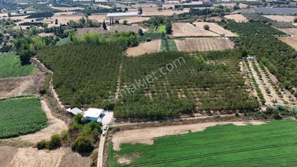 Aksu Karaözde 43 Dönüm Çiftlik (ev+traktör Ve Ceviz Ağaçları)