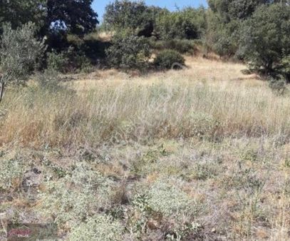 Bergama-tiyelti Mahallesinde,satılık Bahçe