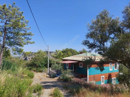 Ortaca Sarıgerme Deniz Manzaralı 2 225 M2 2 Müstakil Parsel Satılık