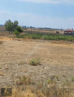 Sarayönü'nde Satılık Büyük Ve Küçük Baş Hayvan Çardağı