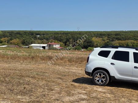 Kapaklı Pınarçada 10 Dönüm Tek Tapu İmara Yakın Yola Cephe Tarla