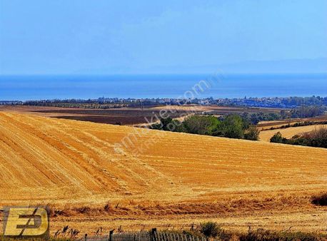 Herkesi Toprak Sahibi Yapıyoruz 167.990 Tl Ye Yatırımlık Arsa