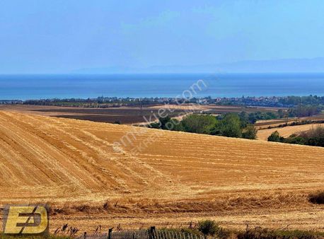 Ed Arsadan Fırsatlar Devam Ediyor 350 M2 Sadece 167.000 Kaçmaz