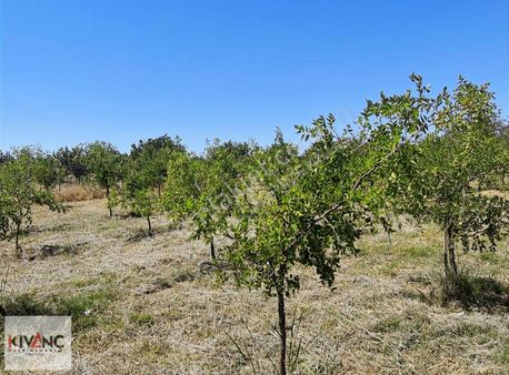 Kıvanç Gayrimenkul'den Havalanı Yakınında Satılık Bahçe