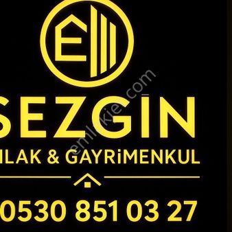 Bergama Zeytindağ'da Tek Tapu Zeytinlik