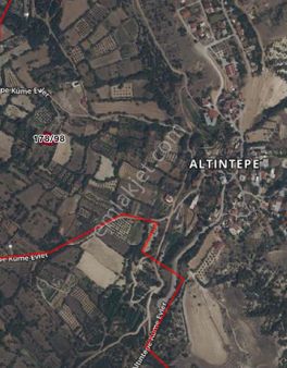 Denizli Sarayköy Altıntepede 722m2 İçinde 40 Tane Zeytin Ağacı Olan Tarla