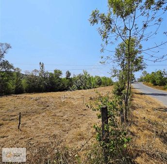 Bartın Merkez Uluköy'de Satılık 3.779 M2 İmarlı Arsa