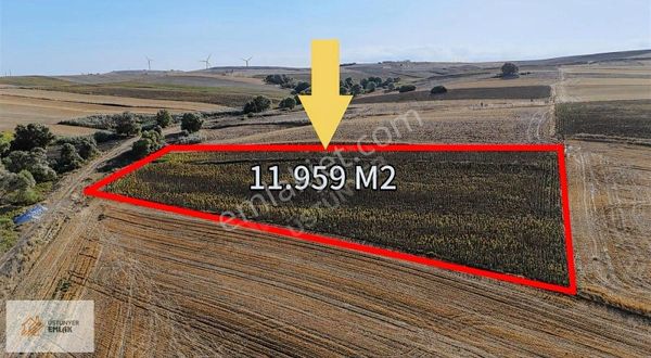 Çatalca Çakıl Mahallesi'nde Satılık 11.959 M2 Arsa