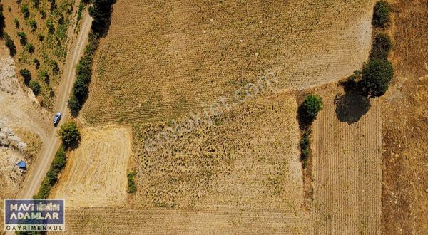 Şehirden Uzak Doğaya Yakın İnegöl Kozluca Köyü'nde Satılık Tarla