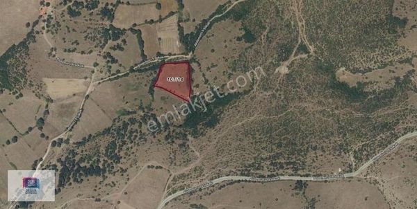 Dialog Değer'den Balıkesir Balya'da Satılık Fırsat Tarla