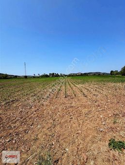 Göktepe'de Satılık Fırsat 5051 M2 Tarla (çok Uygun Fiyat)