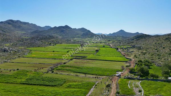 Joker: Taşlıca Resmi Yol Cepheli Yatırımlık Tarla