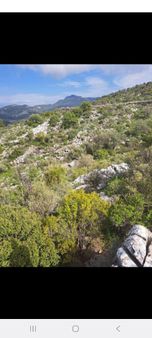 Dalaman Kızılkaya Da Satılık Tarla