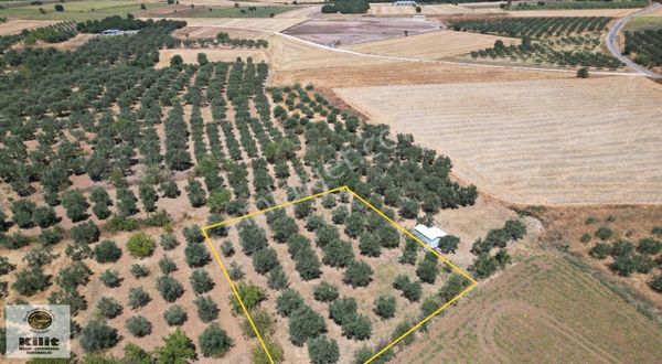 Kilit Emlak'tan Yeşilçomlu Mahallesinde Göl Manzaralı Bağ