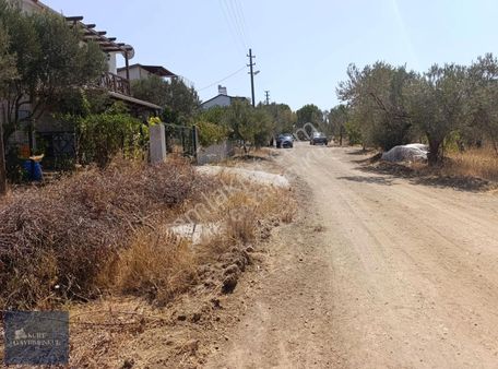 Ezine Geyikli'de Denize 500m Mesafede Satılık Arsa