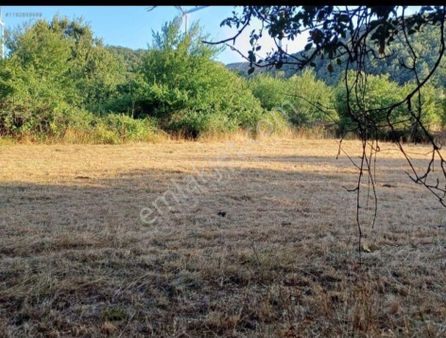 Çanakkale Lapseki Üçpınar Köyünde 925 M2 Doğayla İç İçe Satılık Hobi Bahçesi