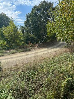 Çanakkale Biga Kaynarca Köyünde 644 M2 Yola Cephe Satılık Bahçe