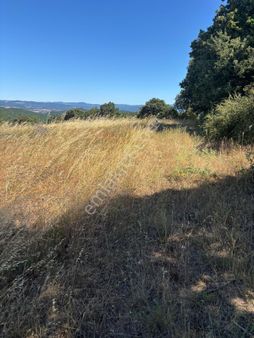 Çanakkale Çan Bostandere Köyünde Satılık 979 M2 Doğayla İç İçe Satılık Hobi Bahçesi