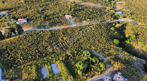 Sinerji Gruptan Sarıdede Mahallesinde Satılık Villalık Arsa