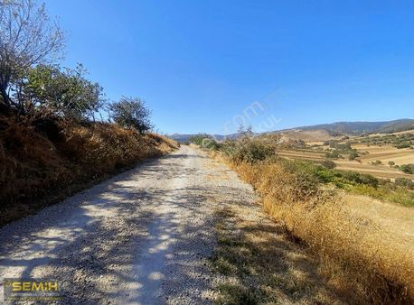 Semih'den Alaylıda Köy Yanı Bol Çeşitli Meyve Bahçesi